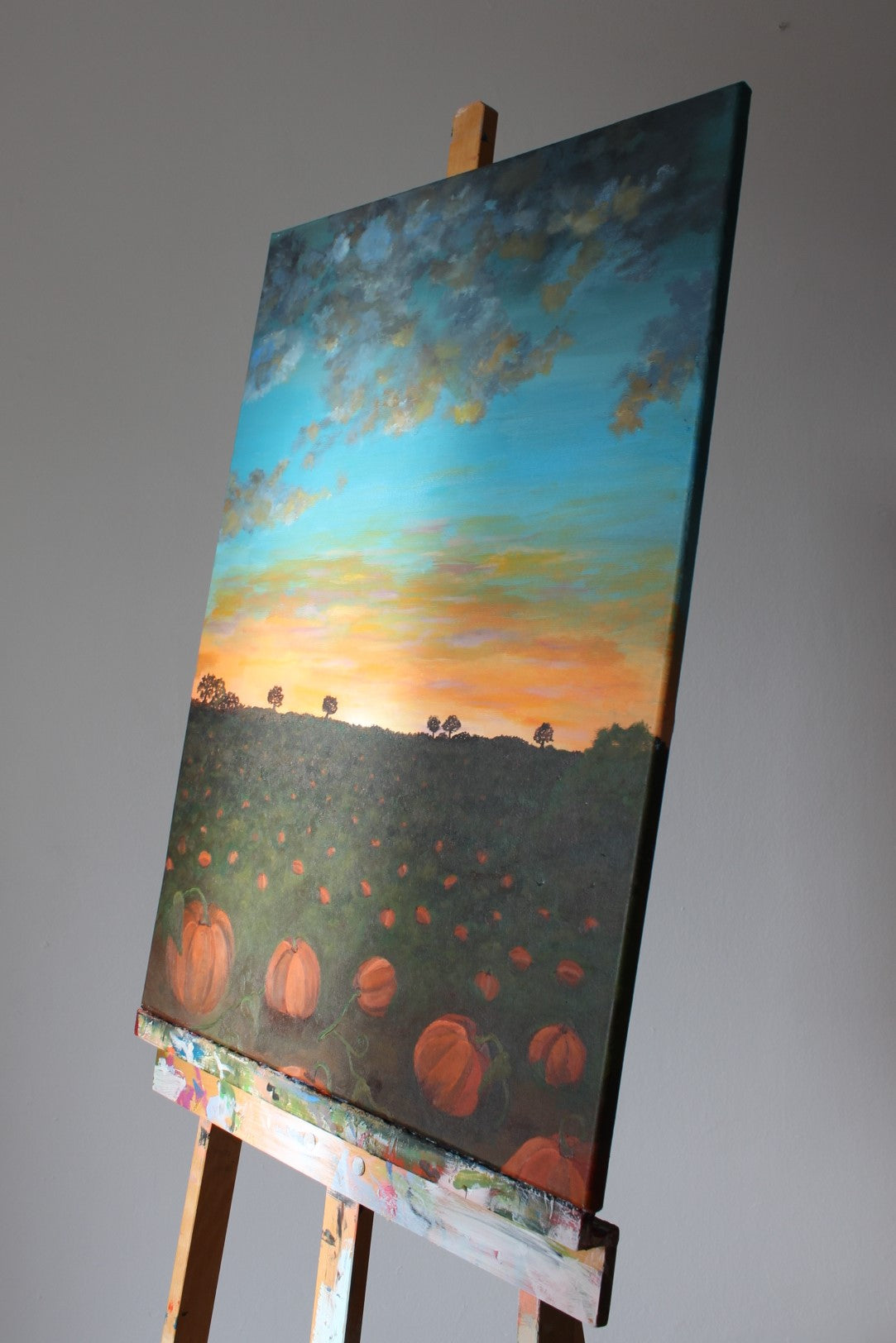 Pumpkin Patch