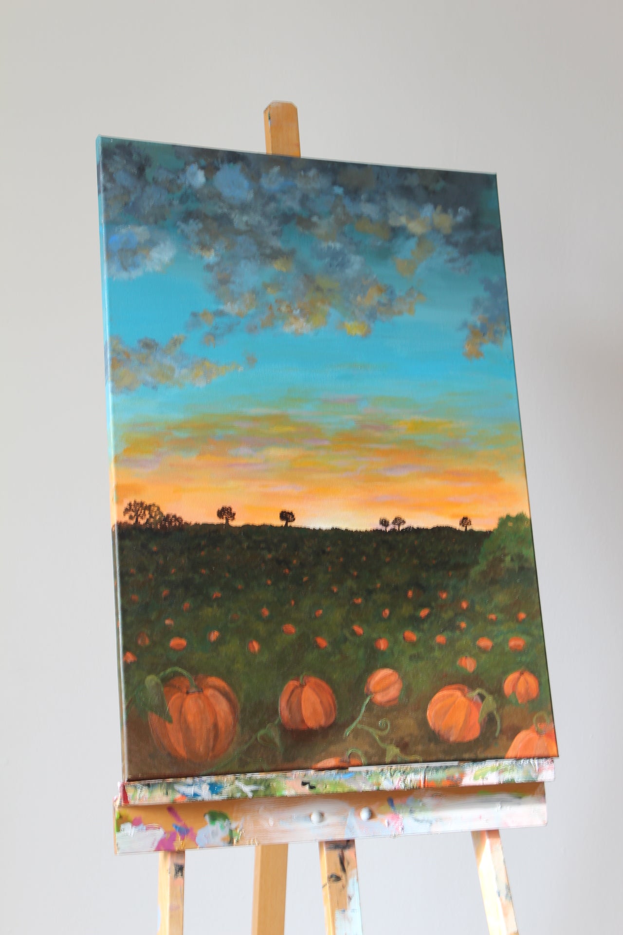 Pumpkin Patch