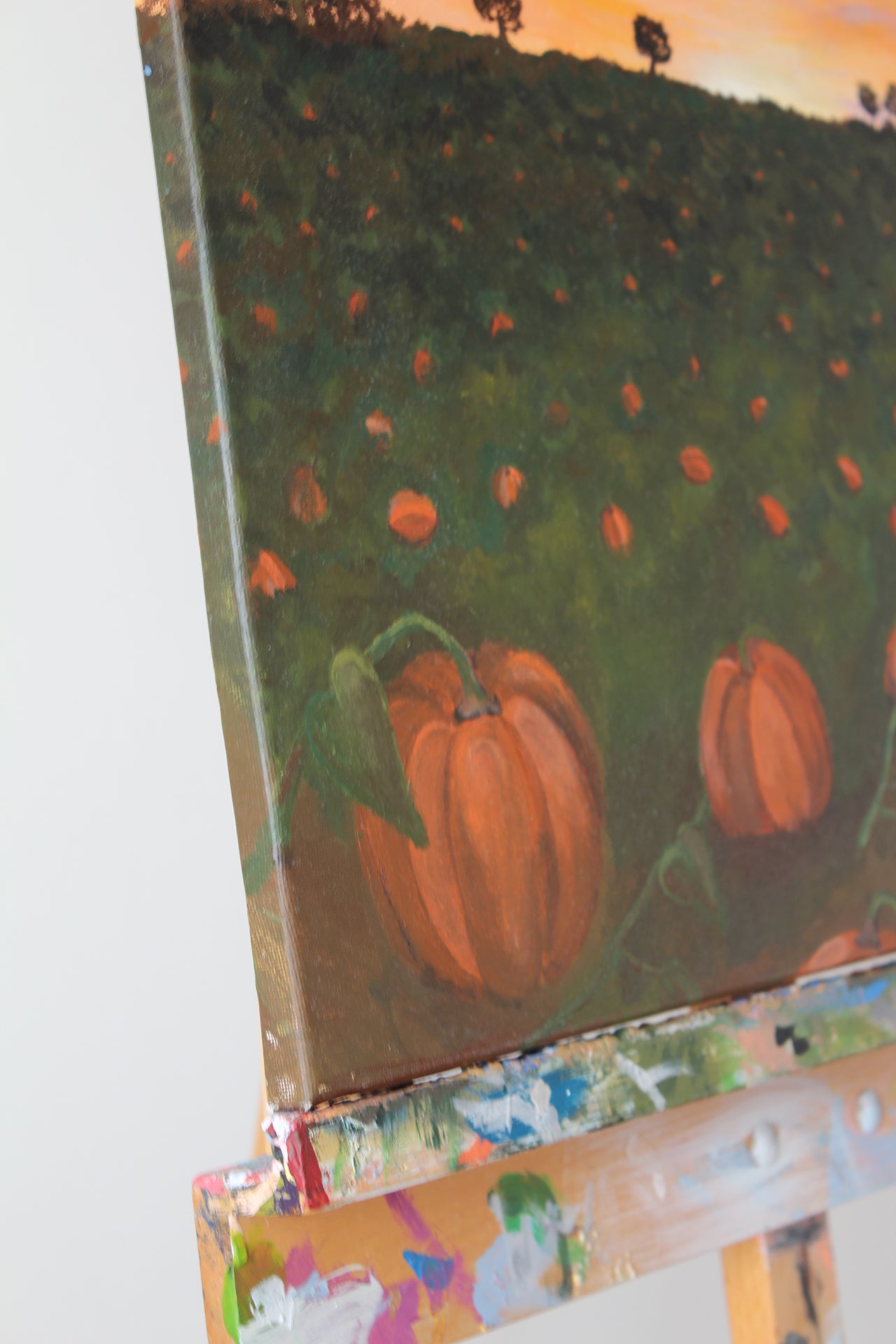 Pumpkin Patch