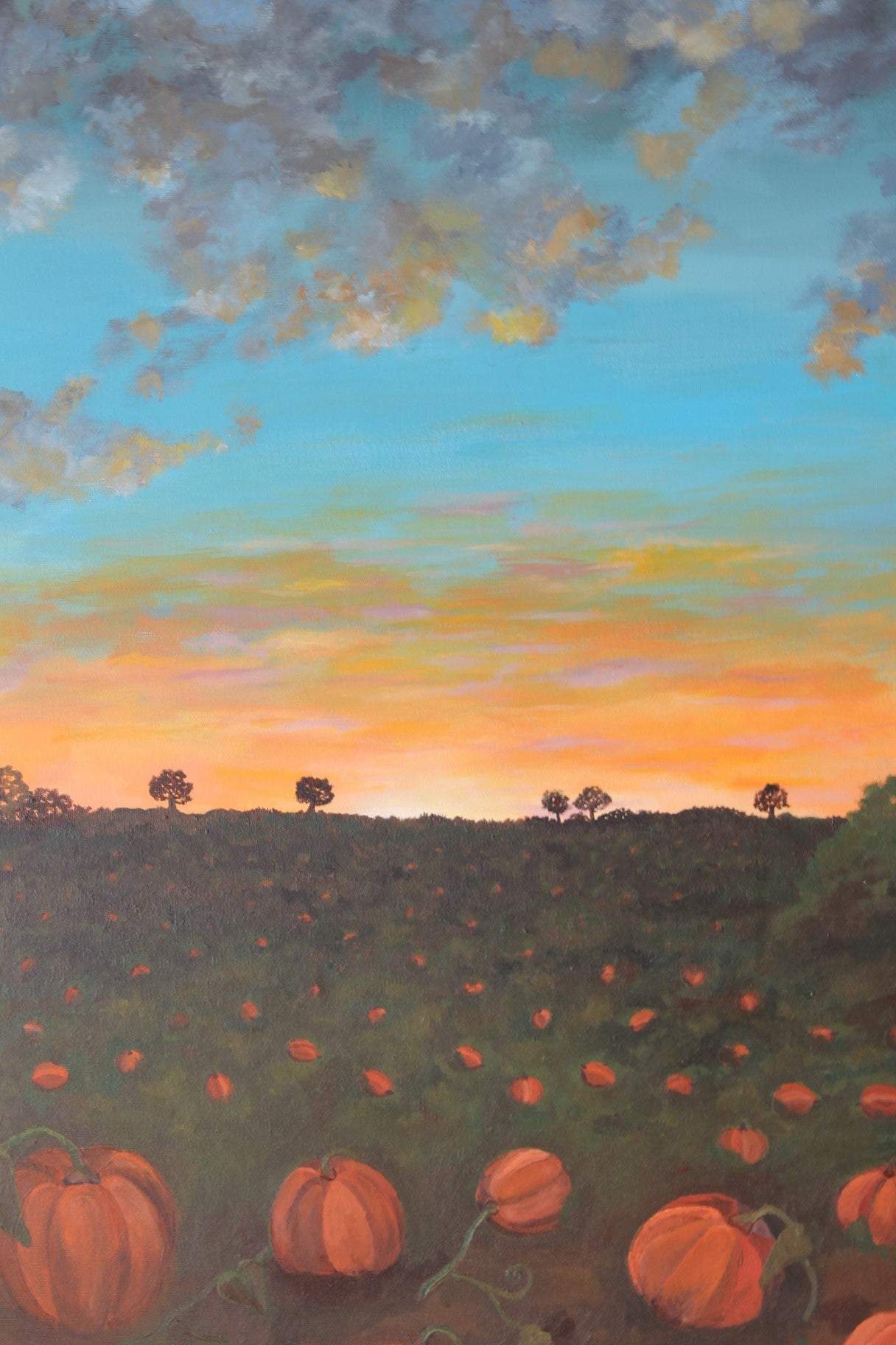 Pumpkin Patch